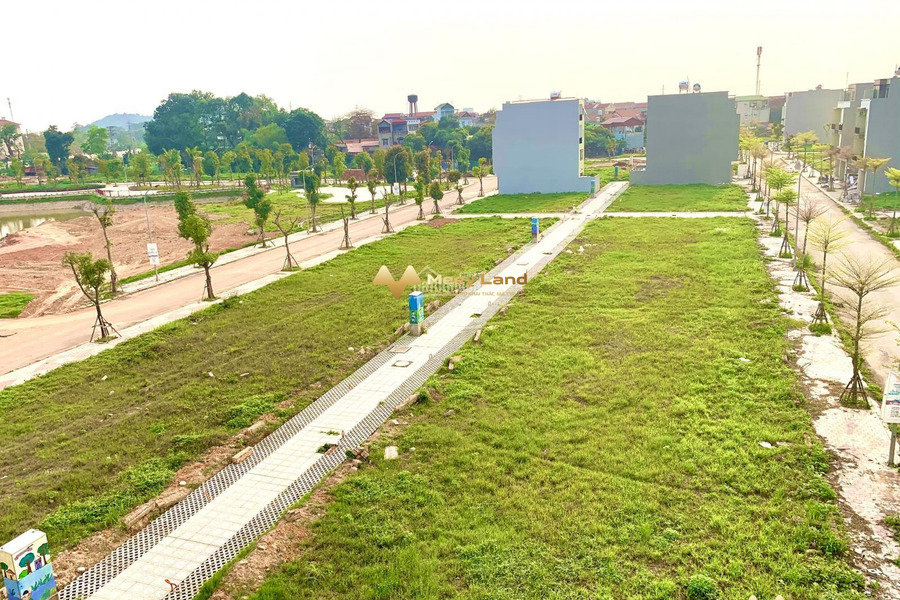 Ở TMS Grand City Phúc Yên bán đất có một diện tích 80 m2 vị trí thuận lợi ngay ở Phúc Yên, Tỉnh Vĩnh Phúc-01