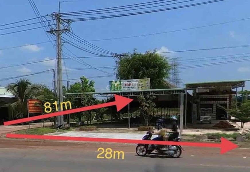 Chơn Thành, Bình Phước cho thuê đất thuê ngay với giá phải chăng 14 triệu/tháng diện tích tầm trung 1000m2-01