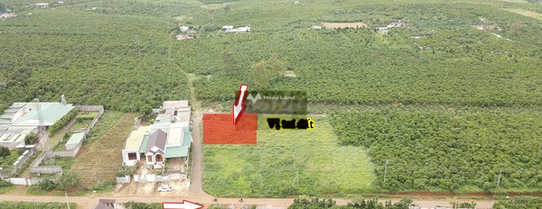 Ngay Lộc Phát, Bảo Lộc bán đất 1.45 tỷ, hướng Đông diện tích thực 253m2-02