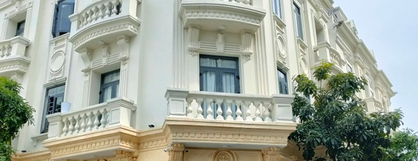Bán nhà phố đẹp nằm ở mặt tiền đường Tô Hiệu-03