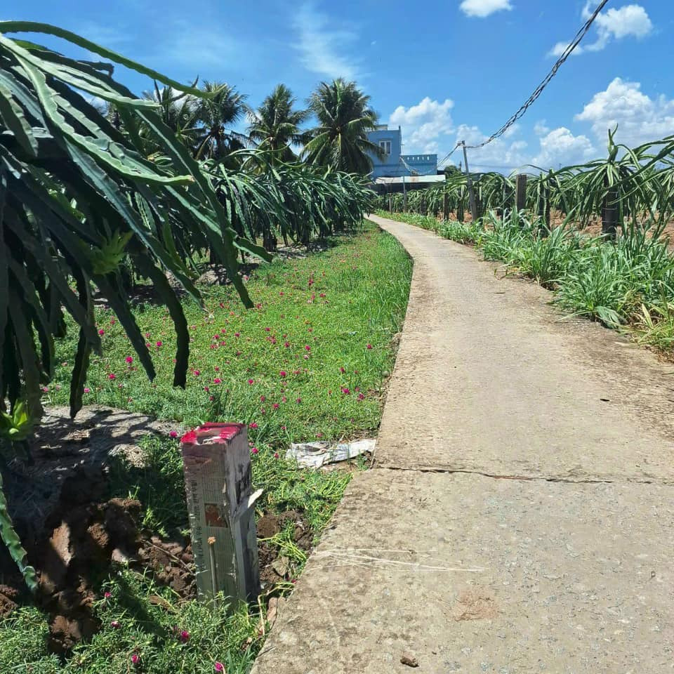 Bán nhà riêng huyện Long Thành tỉnh Đồng Nai giá 400.0 triệu-0