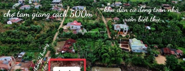 Tam Giang, Đắk Lắk bán đất giá đề xuất chỉ 229 triệu diện tích quy ước 240m2-02