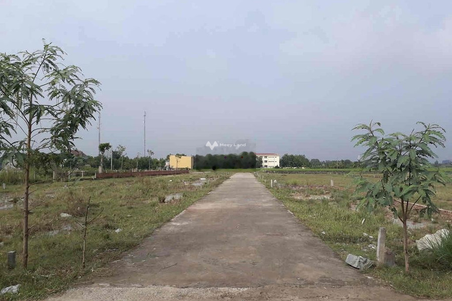 Gấp cho thuê đất Nguyễn Văn, Phú Hữu giá thuê chốt nhanh chỉ 2.5 triệu/tháng với diện tích là 138m2-01
