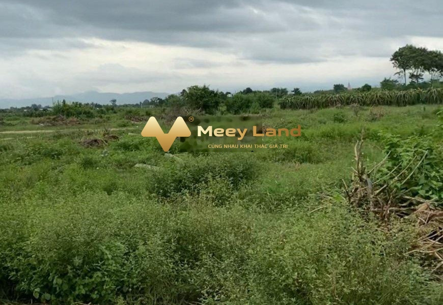 Tọa lạc ngay ở Xã Hàm Chính, Huyện Hàm Thuận Bắc bán đất có một dt là 1400 m2-01