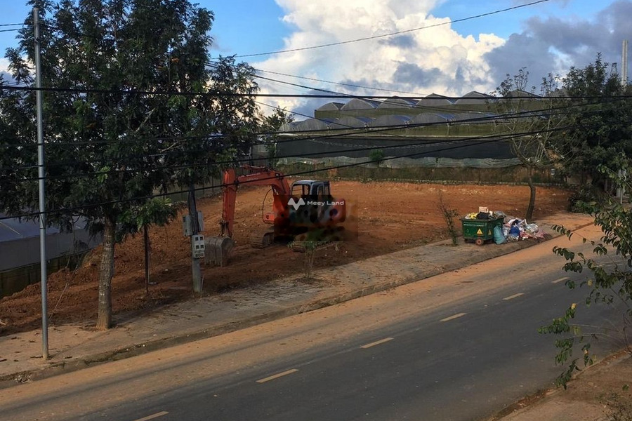 Nằm tại Đà Lạt, Lâm Đồng cho thuê đất, thuê ngay với giá đặc biệt chỉ 120 triệu/tháng, hướng Đông diện tích sàn là 800m2-01