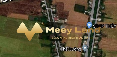 3.5 tỷ bán đất Có tổng diện tích 400 m2 ngay ở Xã Thạnh Trị, Tỉnh Kiên Giang-02