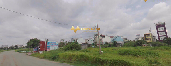 Bán đất giá 3,5 tỷ, diện tích 100m2 tại Xã Bình Hưng, Huyện Bình Chánh-03