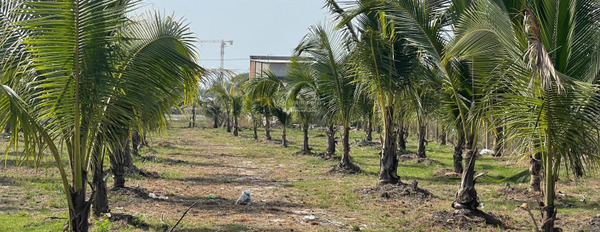 Ngay Phước Thuận, Xuyên Mộc bán đất 23.03 tỷ, hướng Bắc với diện tích tiêu chuẩn 2193m2-02