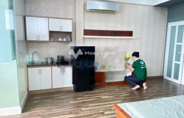 Cho thuê căn hộ tổng diện tích là 45m2 vị trí đẹp nằm trên Tân Bình, Hồ Chí Minh thuê ngay với giá cực rẻ từ 4.5 triệu/tháng-02