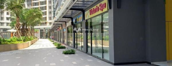 Tại Quận 9, Hồ Chí Minh cho thuê cửa hàng 22 triệu/tháng mt rộng lớn 9 mét giá tốt-02