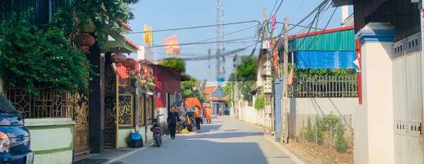 Giá tốt nhất Văn Giang chỉ 10,5 triệu/m2 sở hữu ngay 309m2 full thổ cư đường ô tô giáp KĐT Xuân Cầu -02