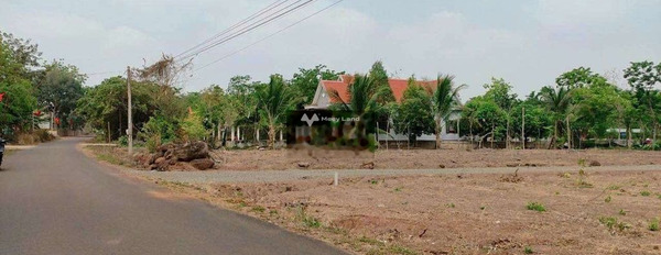 Minh Hưng, Bình Phước bán đất giá bán chỉ 490 triệu diện tích đúng với trên ảnh 200m2-03