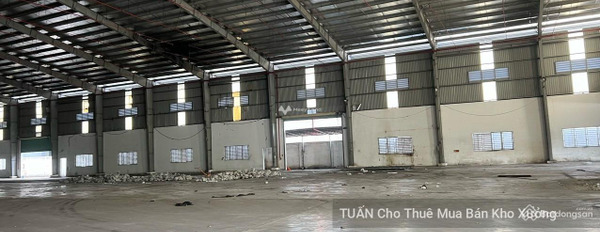 Tôi chính chủ bán kho bãi diện tích thực như trên hình 11000m2 đường trước mặt tiền 100 mét vị trí tốt ở Đức Hòa, Đức Hòa thuận tiện di chuyển-02