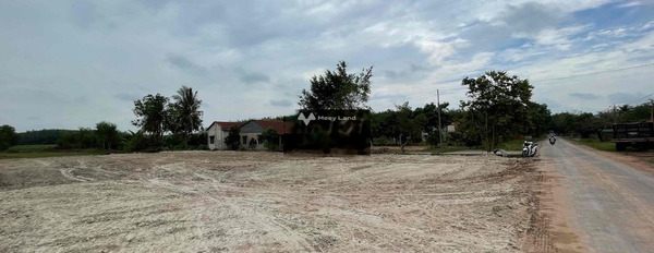 Giá mong muốn 2.5 tỷ bán đất có diện tích chung là 3100m2 vị trí tốt tại Phước Vinh, Tây Ninh, hướng Nam-02