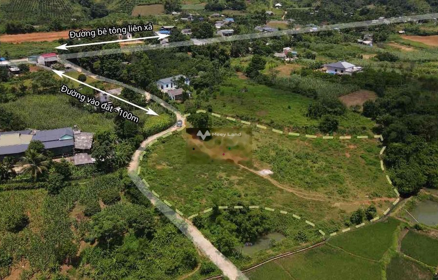 Đầu tư bất động sản bán mảnh đất, 4300m2 giá bán siêu khủng chỉ 2.55 tỷ vị trí đặt vị trí nằm tại Cao Phong, Hòa Bình pháp lý nhanh-01