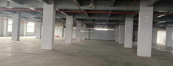 Cho thuê kho bãi diện tích 1000m2 tại Đông Thọ, Yên Phong-02