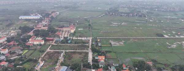 Cần bán đất huyện Phúc Thọ, Hà Nội-03