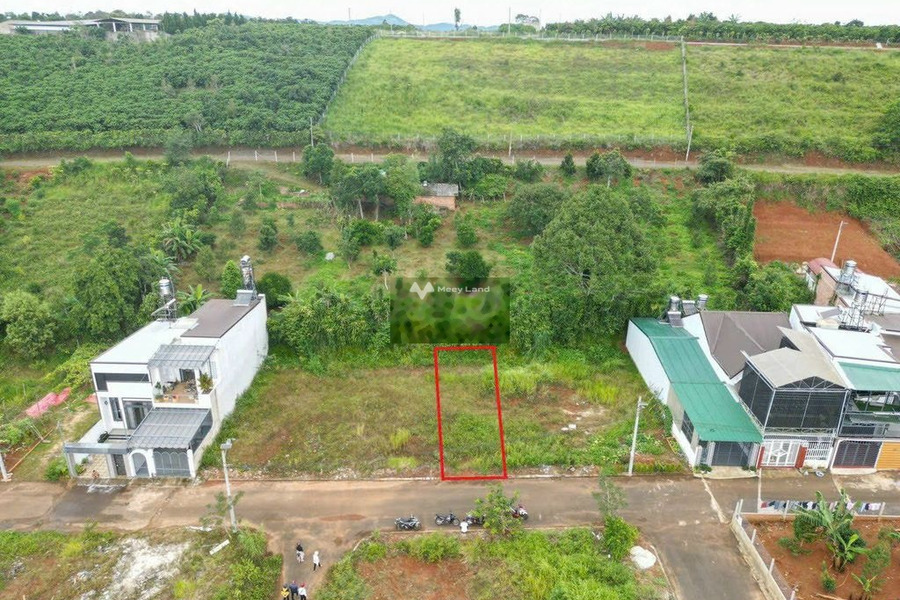 Lộc Tiến, Bảo Lộc 490 triệu bán đất có diện tích tiêu chuẩn 100m2-01