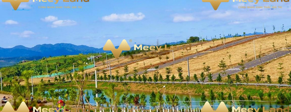 Tại Bảo Lộc, Lâm Đồng bán đất , hướng Đông Nam có diện tích trung bình 350 m2-03