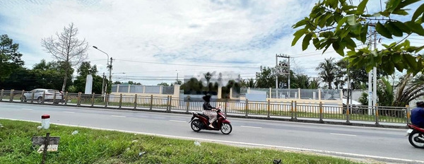 Tân Phú Trung, Củ Chi 42 tỷ bán đất diện tích rộng 10000m2-03