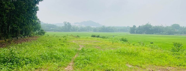 Bán đất tại Nhuận Trạch, Lương Sơn, Hoà Bình. Diện tích 1000m2-02