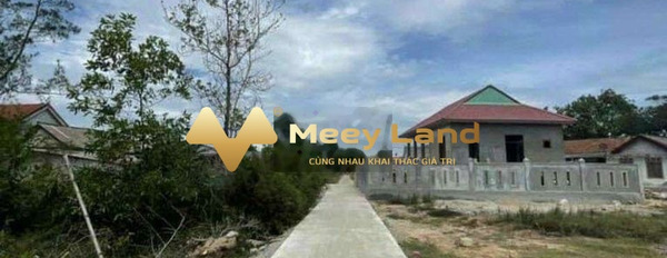 Bán mảnh đất 100m2 tại Thuận Hóa, Thừa Thiên Huế gặp để trao đổi-03