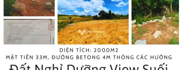 Do dịch bệnh bán mảnh đất, 2016m2 giá bán cực mềm chỉ 2.1 tỷ ngay tại Đơn Dương, Lâm Đồng, hướng Bắc khu vực đông đúc-03