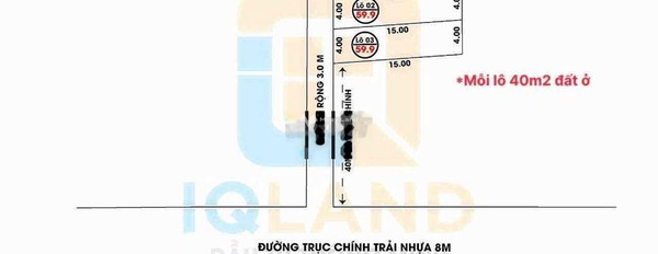 Vị trí đẹp tọa lạc ở Quốc Lộ 3, Sóc Sơn bán đất giá cực rẻ 899 triệu diện tích chung quy 60m2-03