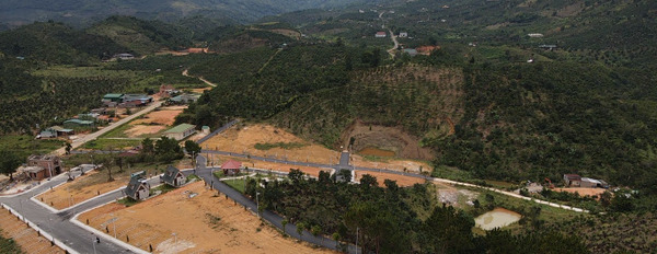 Lộc Nam Hill - Bảo Lộc - Lâm Đồng view nghỉ dưỡng đồi núi-02
