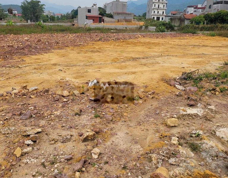 Bán đất ngay ở Sơn Động, Bắc Giang. Diện tích 1768m2, giá 850 triệu-01