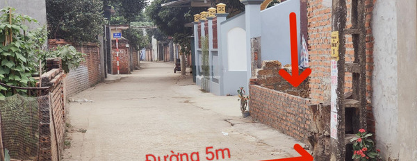Bán đất giá 980 triệu, diện tích 53m2 tại Thạch Thất, Hà Nội-03