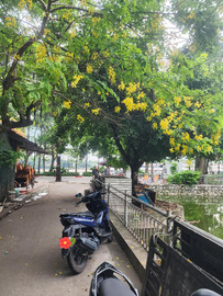 Bán nhà mặt phố quận Hoàng Mai thành phố Hà Nội giá 16.8 tỷ