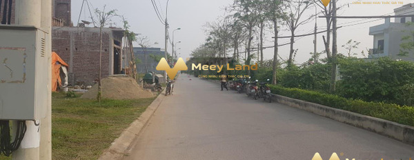 Vị trí thuận lợi ngay ở Xã Thọ Dân, Huyện Triệu Sơn bán đất giá bán hợp lý từ 950 triệu dt chung 100 m2-03