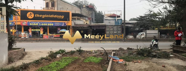 Vị trí đặt ngay trên Đường Võ Văn Kiệt, Thị Trấn Quang Minh cho thuê đất thuê ngay với giá bất ngờ 2,7 triệu/tháng-03