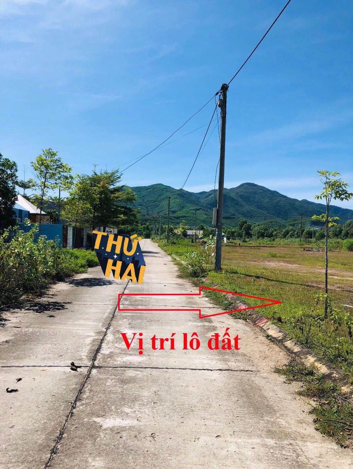 Bán đất thành phố Quy Nhơn tỉnh Bình Định giá 162.322 tỷ-1