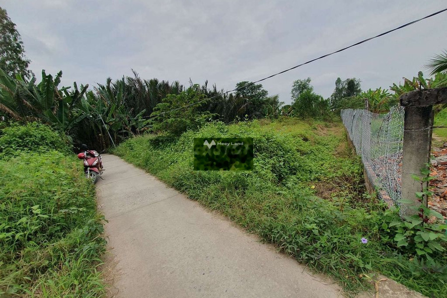 Nhơn Phú, Vĩnh Long 420 triệu bán đất diện tích 215m2-01