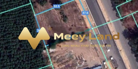 Tọa lạc trên Long Tân, Nhơn Trạch bán đất, giá bất ngờ 20 tỷ với dt thực 1998m2-03