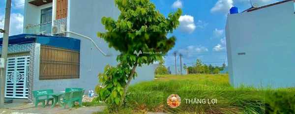 Bán đất diện tích đúng với trên ảnh 132m2 vị trí thuận lợi tọa lạc ngay trên Bình Chánh, Hồ Chí Minh-03