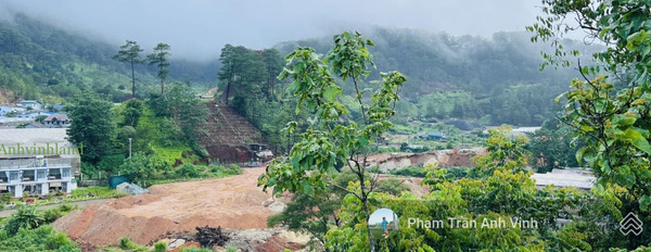 Phường 3, Lâm Đồng bán đất giá bán mua ngay từ 25 tỷ có diện tích trung bình 2000m2-03