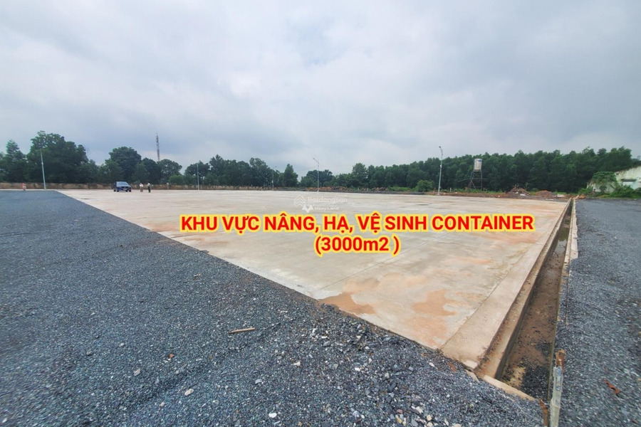 Vị trí ngay ở Quốc Lộ 51, Long Thành cho thuê kho bãi 10000m2 thuê ngay với giá cực tốt 110 triệu/tháng liên hệ ngay để được tư vấn-01