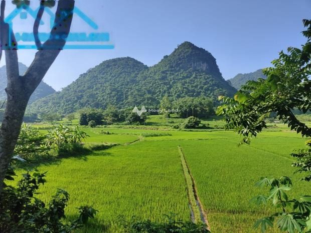 Yên Phú, Hòa Bình bán đất giá bán giao lưu chỉ 1.33 tỷ có diện tích là 504m2-01