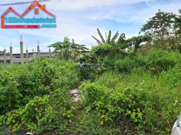 Tọa lạc trên Hùng Vương, Thị Trấn Ngã Sáu bán đất giá bán thỏa thuận từ 1.25 tỷ diện tích thực dài 70m2-01