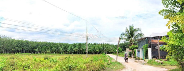 Đt 785, Tây Ninh 1.39 tỷ bán đất có diện tích quy ước 1000m2-02