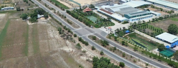 Diện tích 9x20m đất thổ cư view biển, đường bê tông, mặt tiền chạy dọc biển ở huyện Tuy Phong giá 2,1 tỷ-03