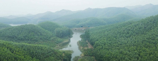 Cắt lỗ hơn 1 tỷ bán mảnh đất nông nghiệp 1.2ha tại Lục Ngạn, Bắc Giang -03