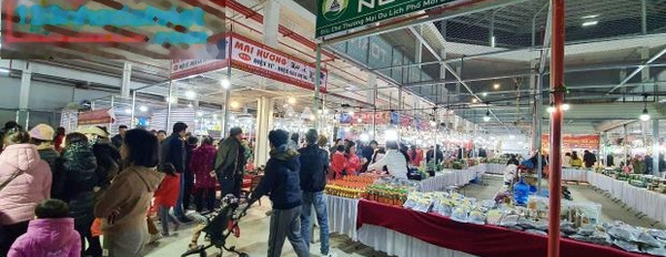 Không cần lý do bán cửa hàng có diện tích tổng 14m2 mặt tiền nằm ngay Nguyễn Huệ, Lào Cai bán ngay với giá 150 triệu-02