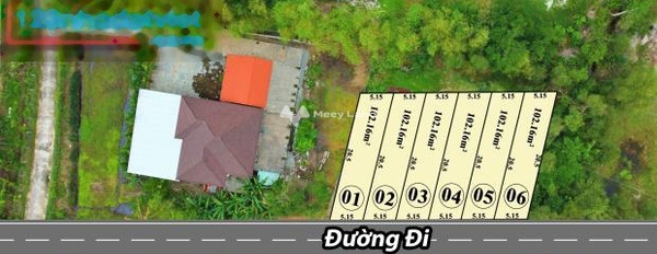 Giá bán mua liền 330 triệu, Bán đất diện tích chuẩn 100m2 tọa lạc ngay ở Tỉnh Lộ 10, Phú Vang, hướng Đông Nam, với đường thông ngang 4 mét vị trí tốt-02