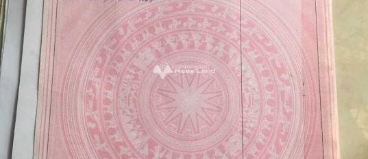 Vị trí đặt tọa lạc ngay Quảng Ngãi, Quảng Ngãi bán đất giá bán hấp dẫn chỉ 700 triệu diện tích thực 70m2-03