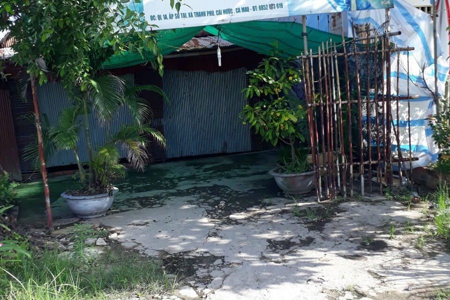 Càn bán gấp đất nền tại xã Thạnh Phú, huyện Cái Nước, tỉnh Cà Mau-01