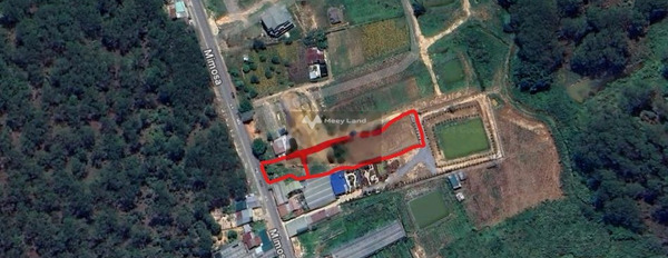 Bán mảnh đất, giá bán phải chăng chỉ 39 tỷ có diện tích rộng 2600m2-02